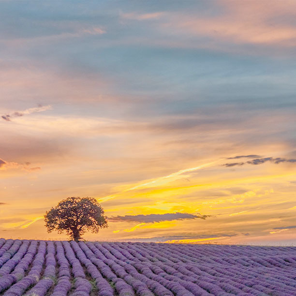 Eating Disorder Therapist in Suffolk